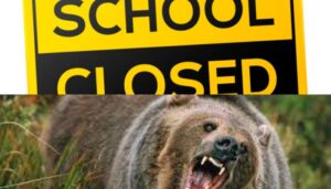 DC Ramban orders closure of around 19 schools in wake of man vs animal conflict