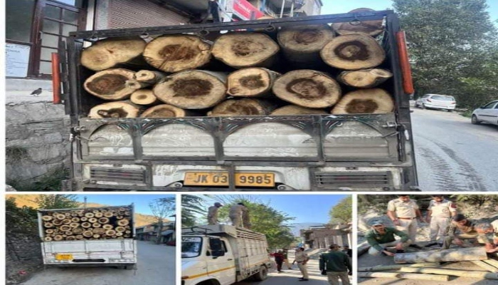 Ramban Police Recovered Forest Wood (250 Logs) from Two Vehicles and arrested 04 Persons